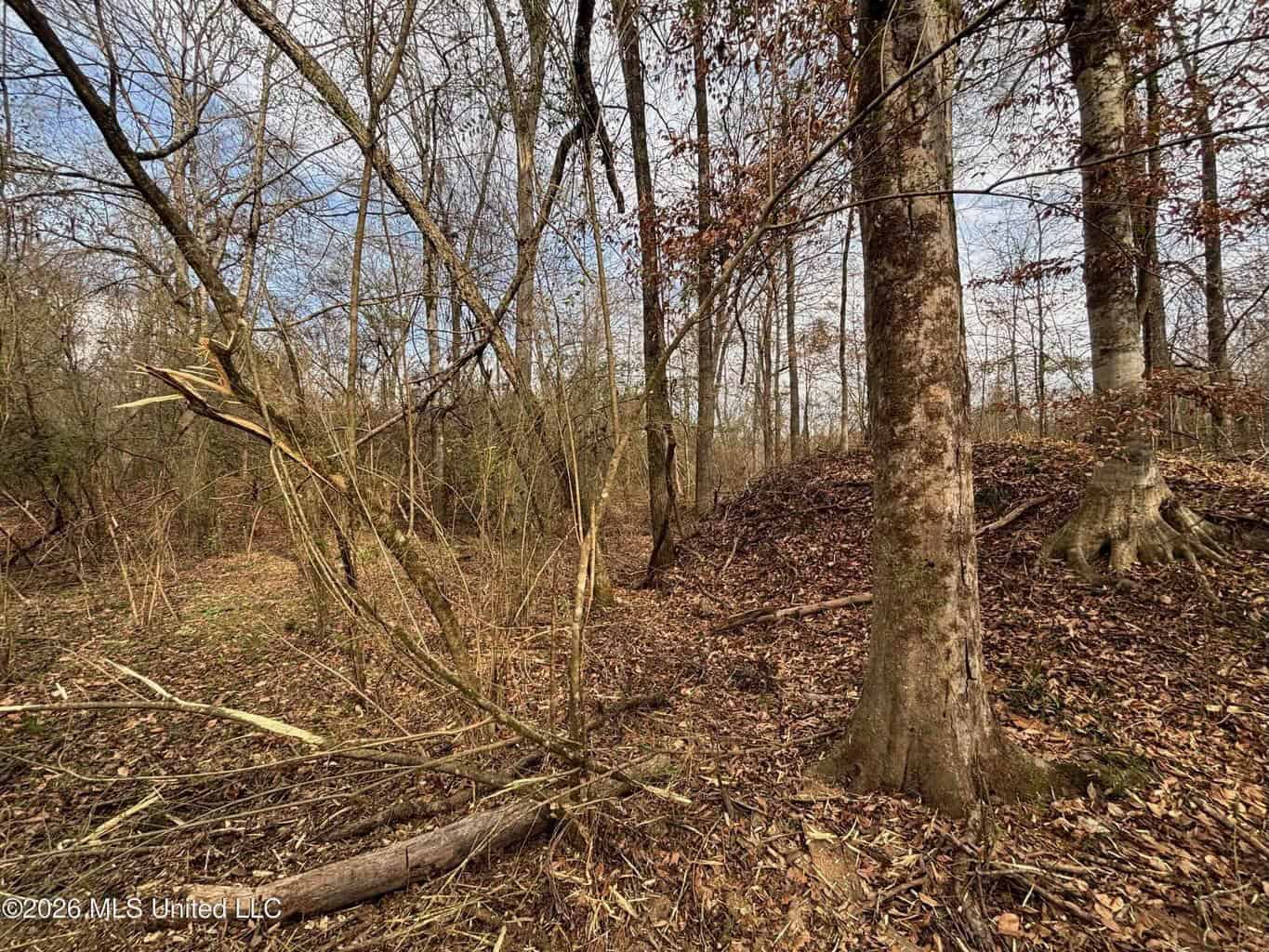 Hazlehurst MS Hunting Land for Sale
