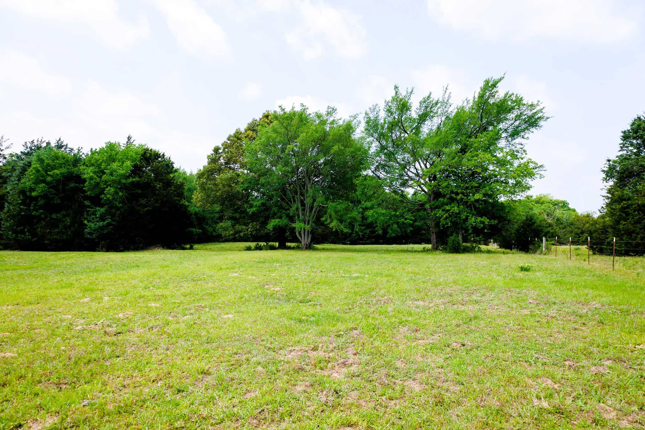 47.79-Acre Hunting Land with Cabin for Sale Ben Wheeler TX