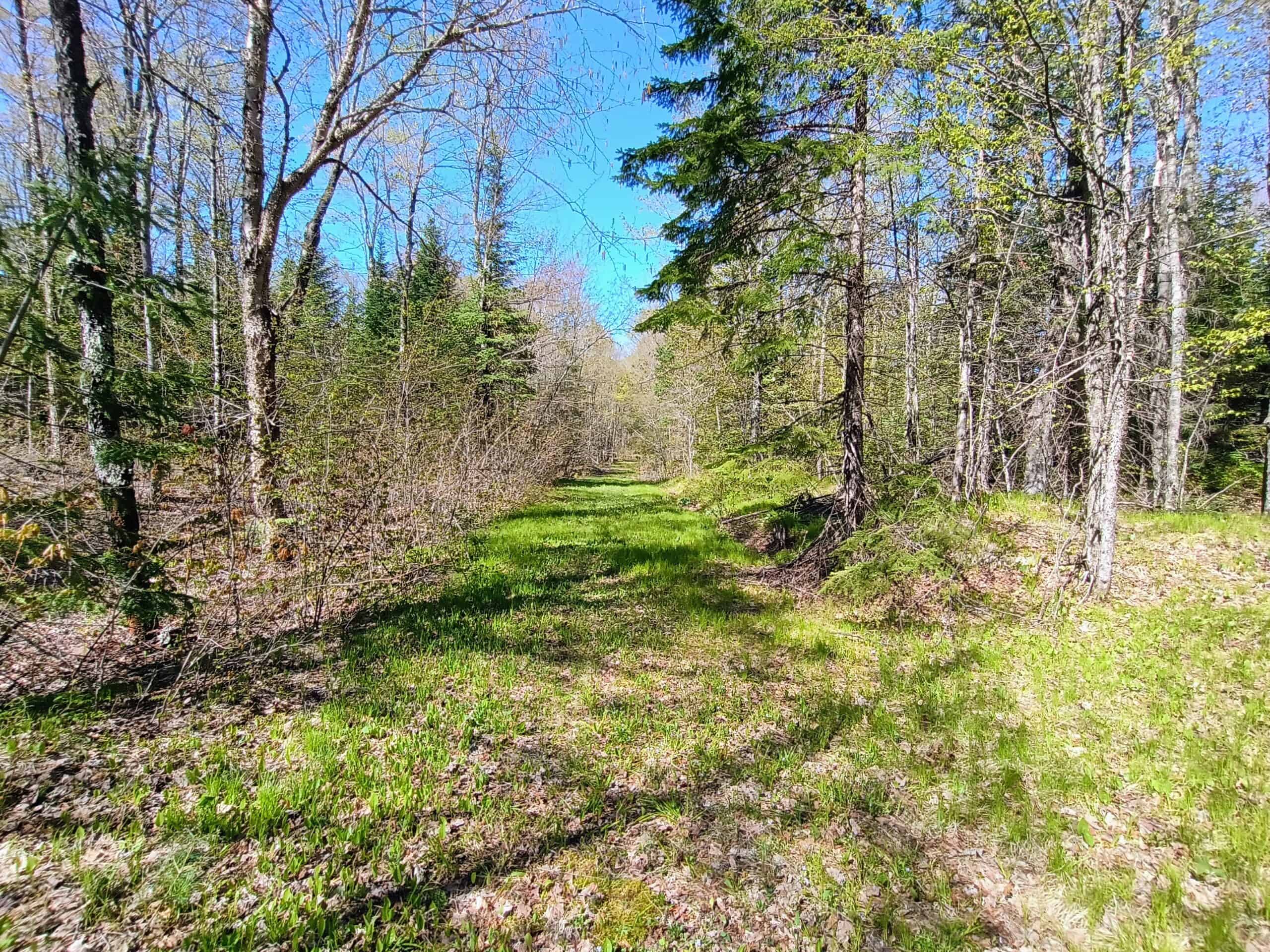 40 Acres Surrounded by 300,000 Acres of Public Land