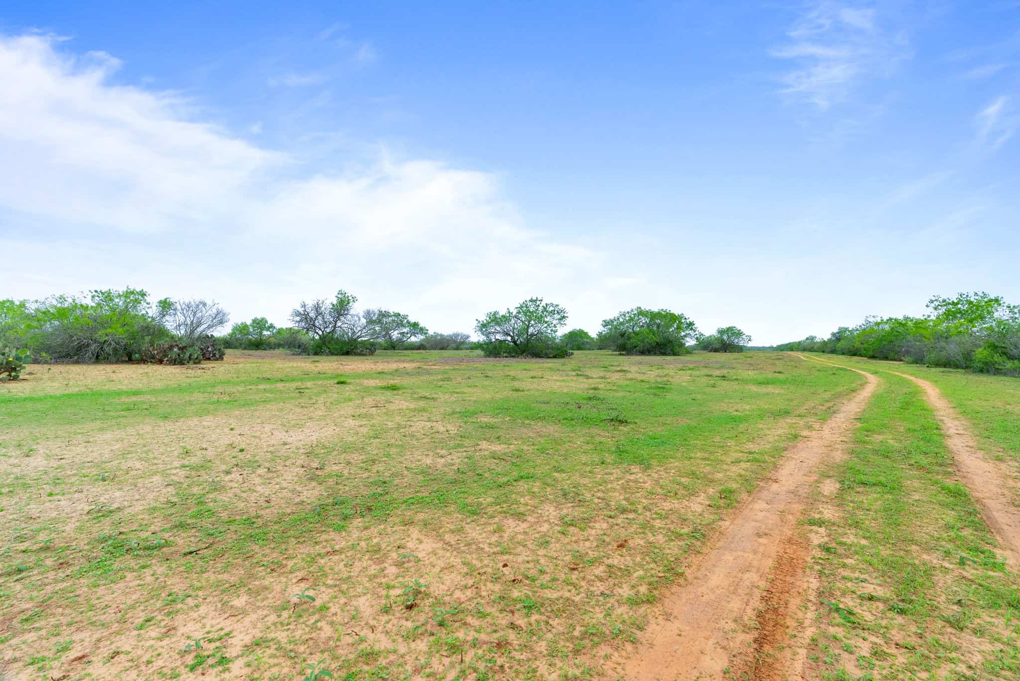 South Texas Dove Hunting Retreat