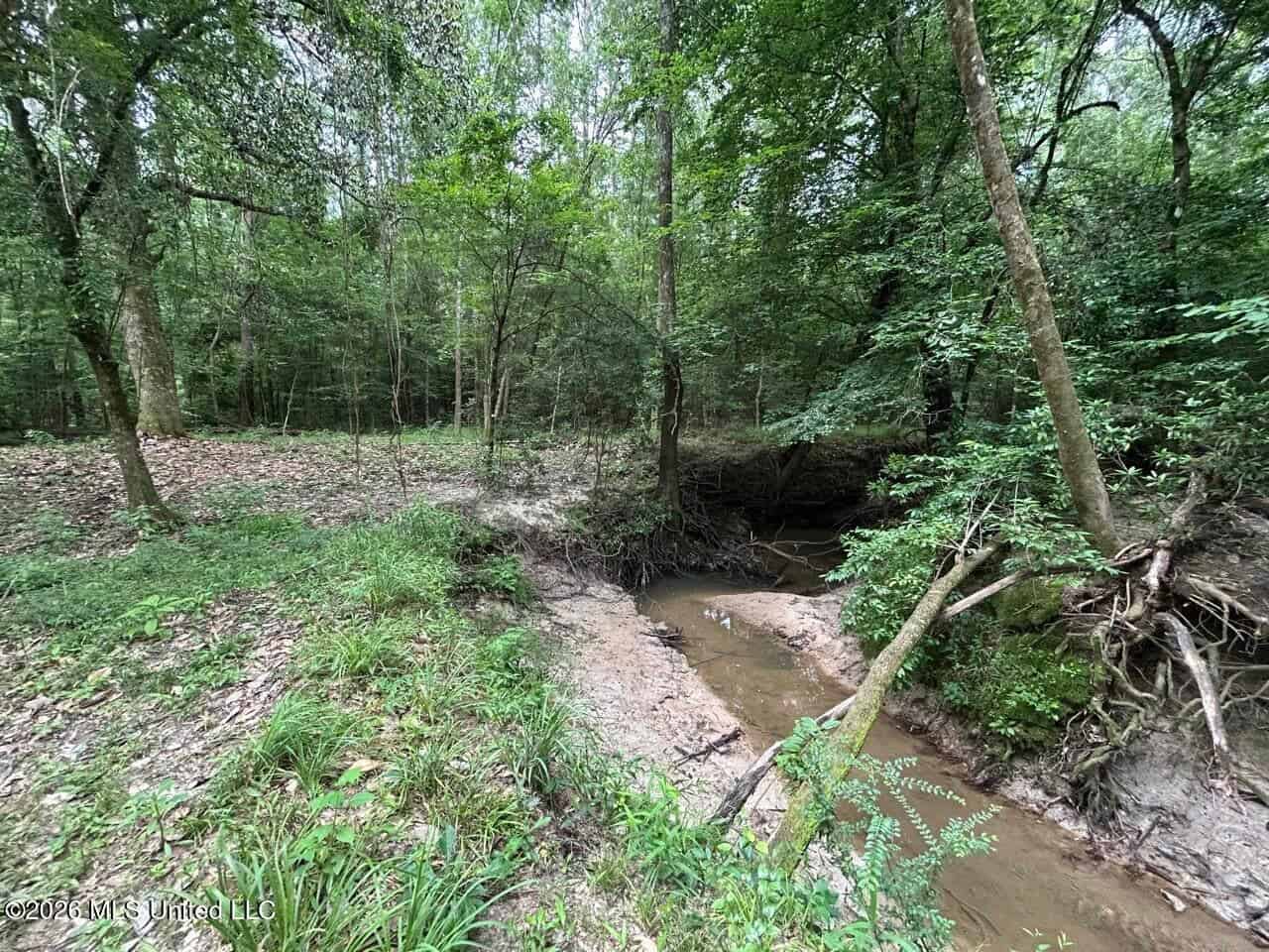 120± Acres for Sale in Osyka, MS on Tickfaw River