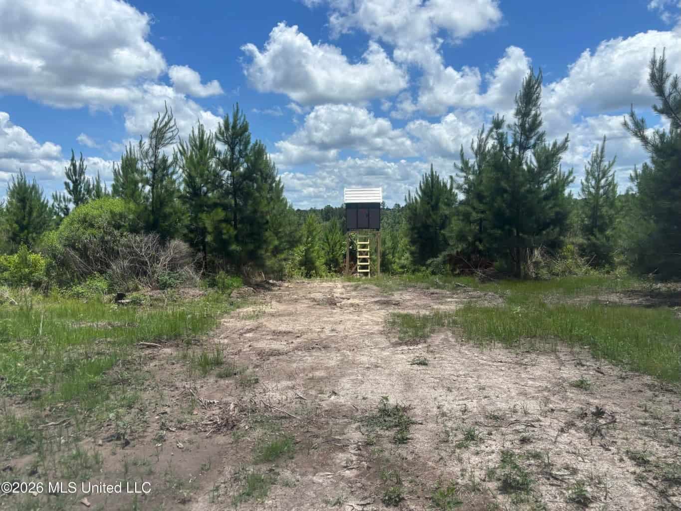 Wilkinson County MS Hunting Land for Sale