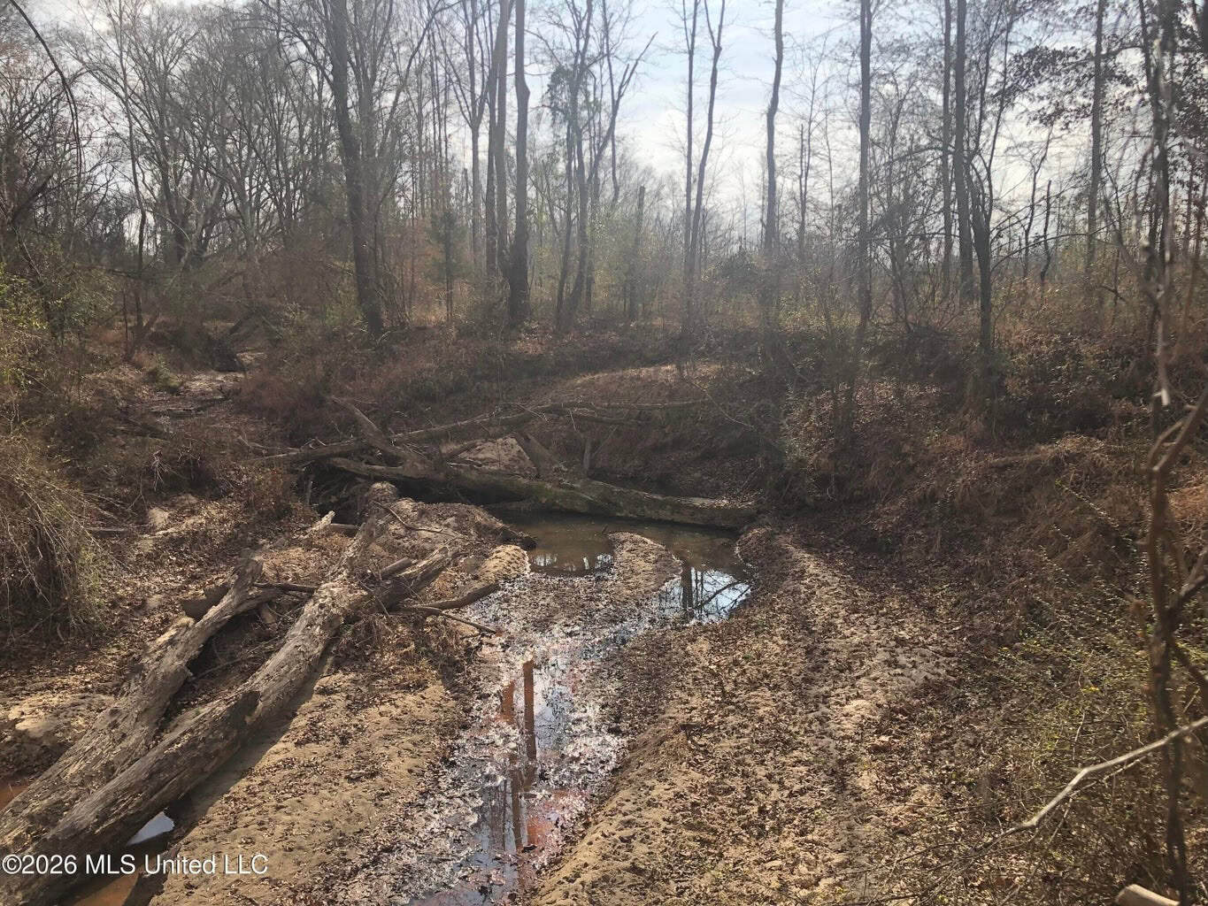 88.5 acres Hunting & Timber Land for Sale in Utica, Ms