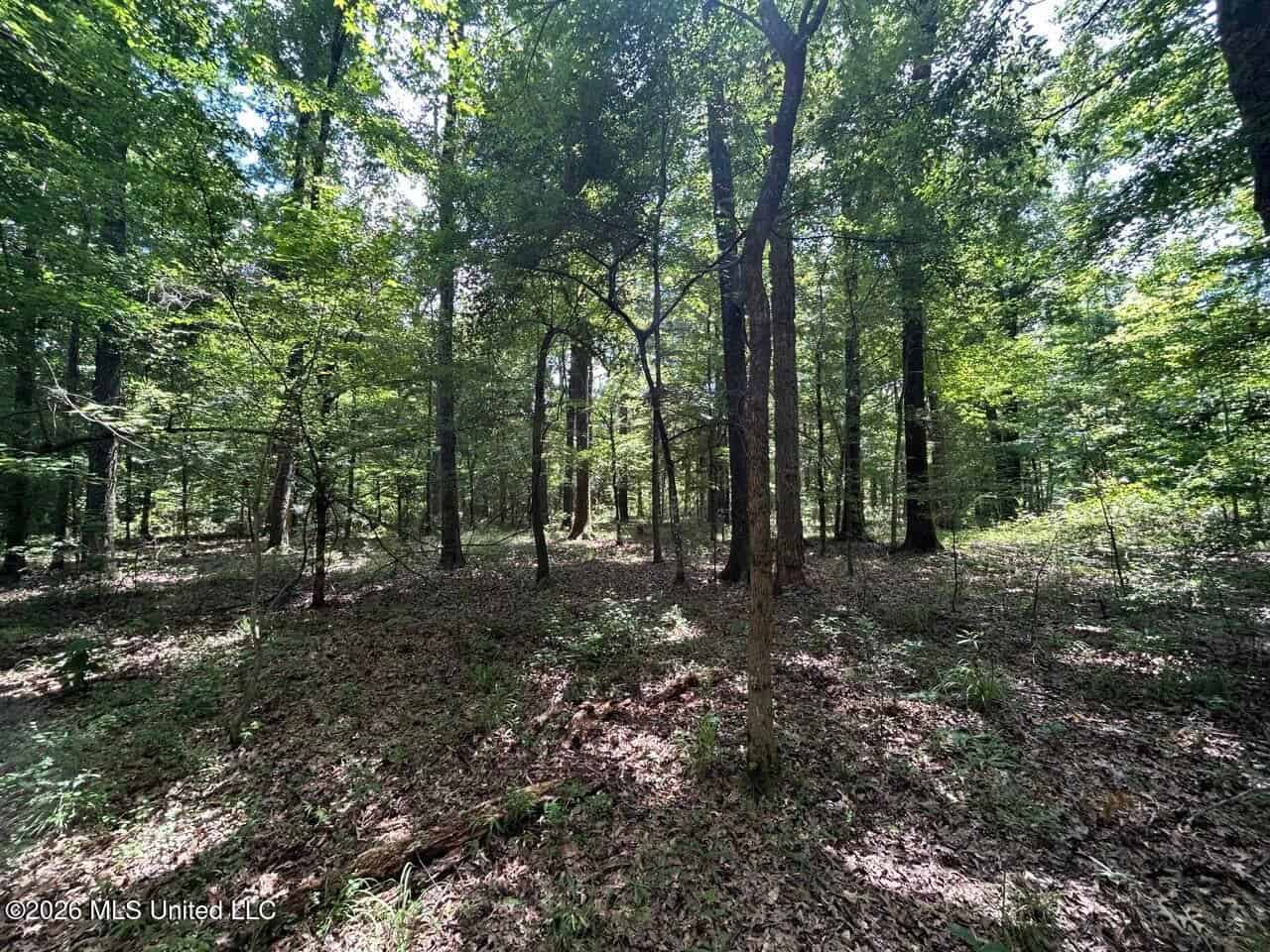 44 Acre Hunting Land in Wilkinson County, MS