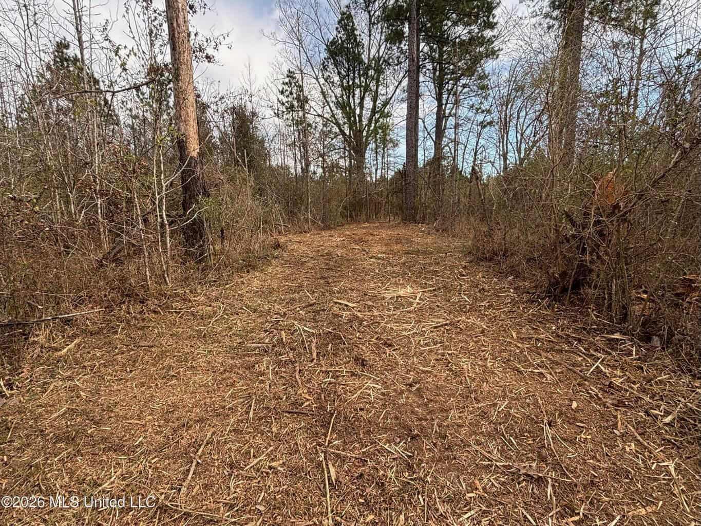 Hazlehurst MS Hunting Land for Sale