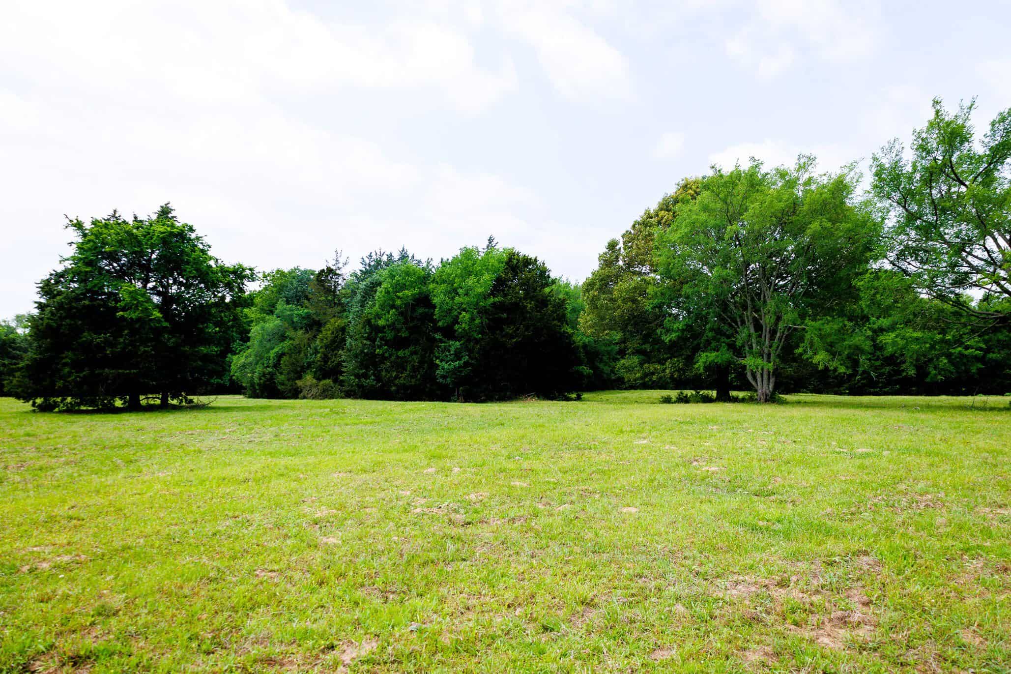47.79-Acre Hunting Land with Cabin for Sale Ben Wheeler TX