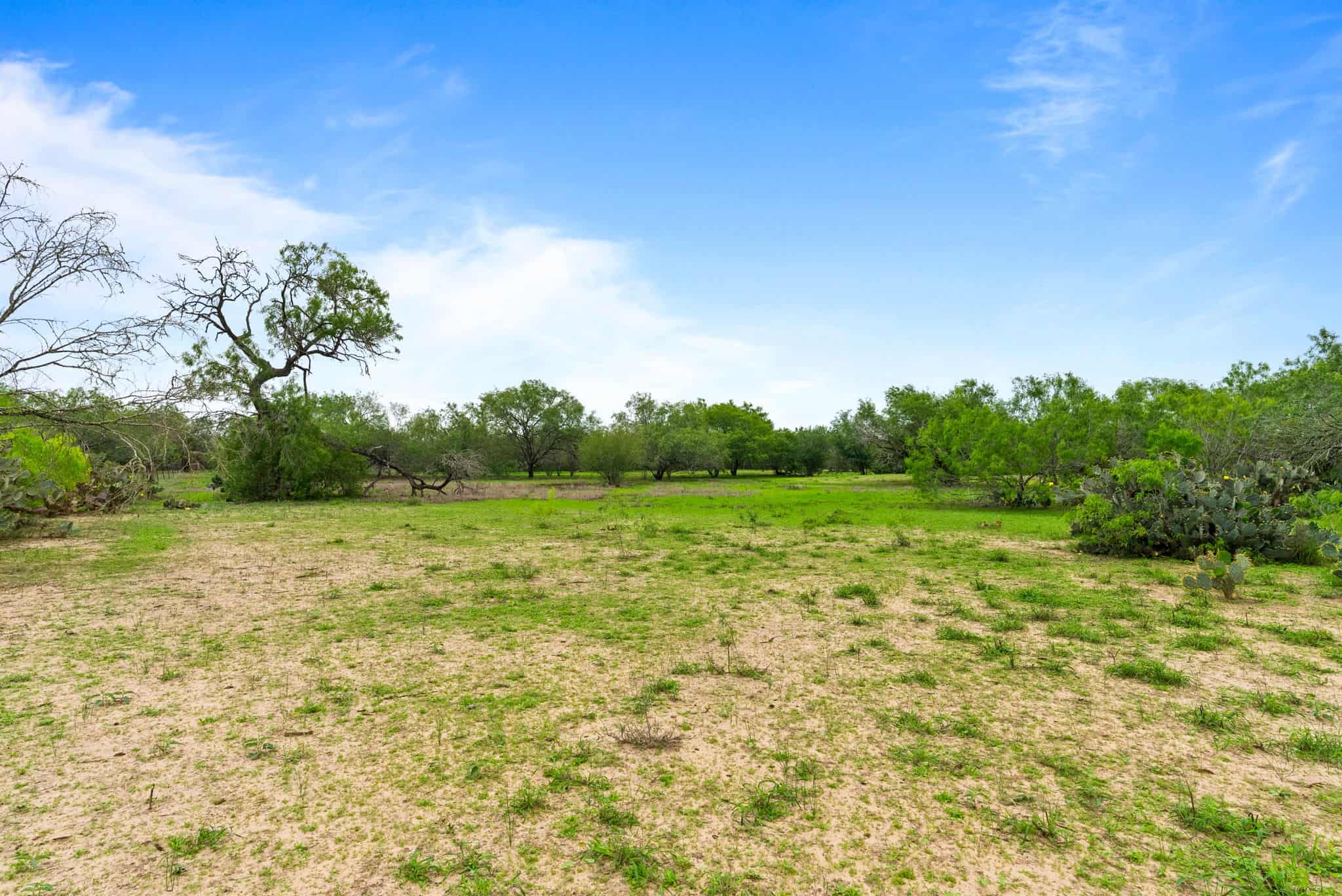South Texas Dove Hunting Retreat