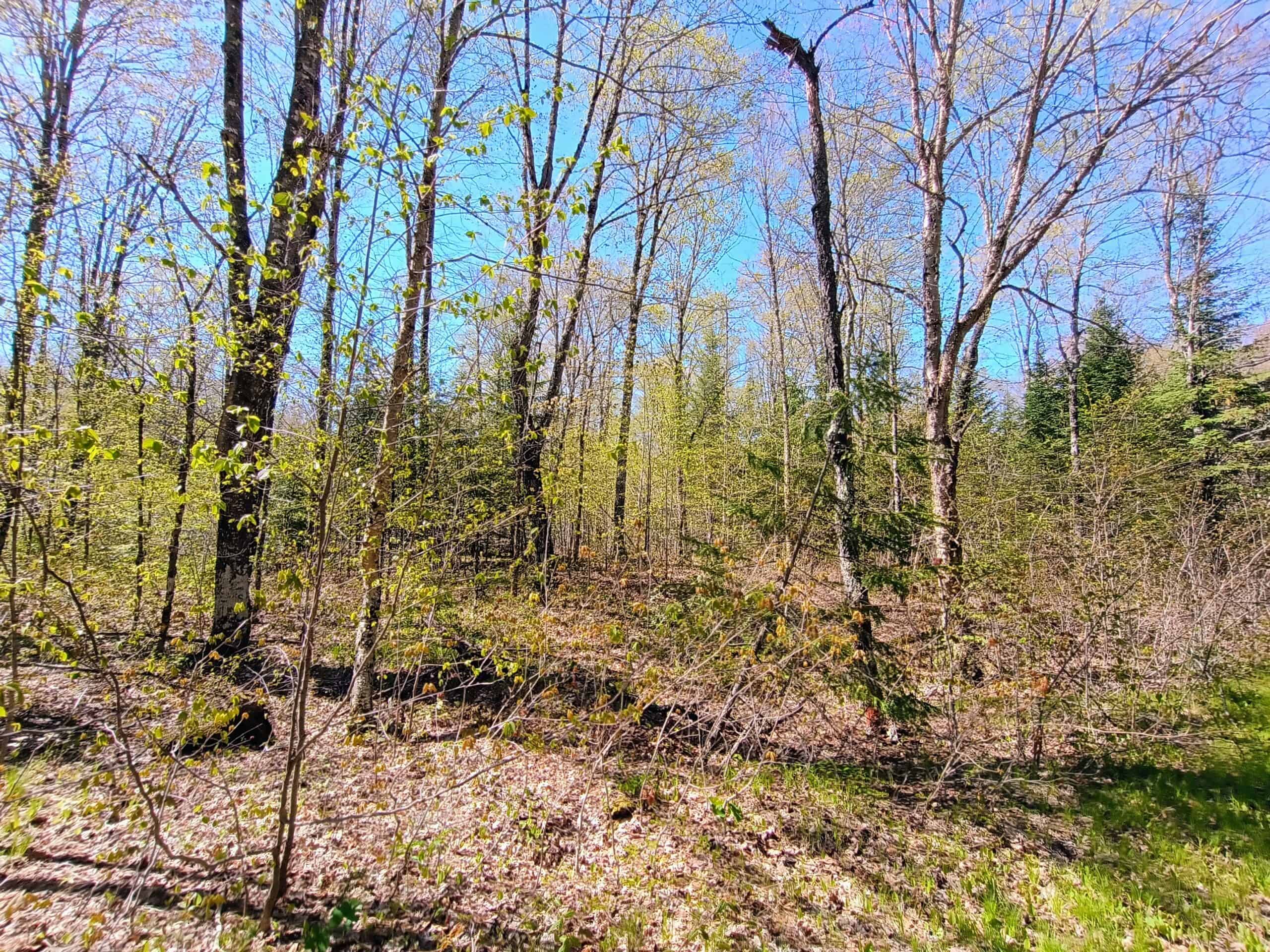 40 Acres Surrounded by 300,000 Acres of Public Land