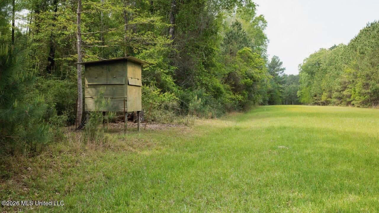 958± Acre High-Fence Ranch in Oakdale, Louisiana