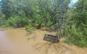 Jefferson County, MS Hunting Club Ownership Share