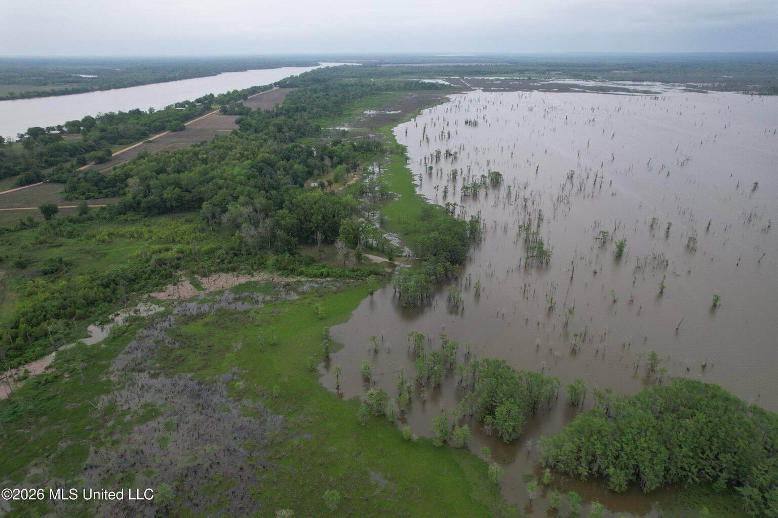 88 Acre Hunting Property – Wilkinson County, MS