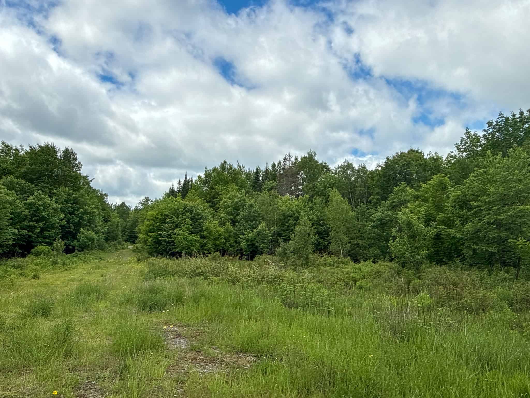 Large Acreage Maine Land for Sale Near West Grand Lake Chain