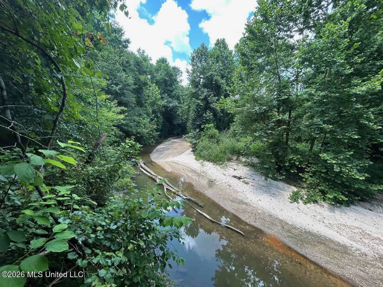 44 Acre Hunting Land in Wilkinson County, MS