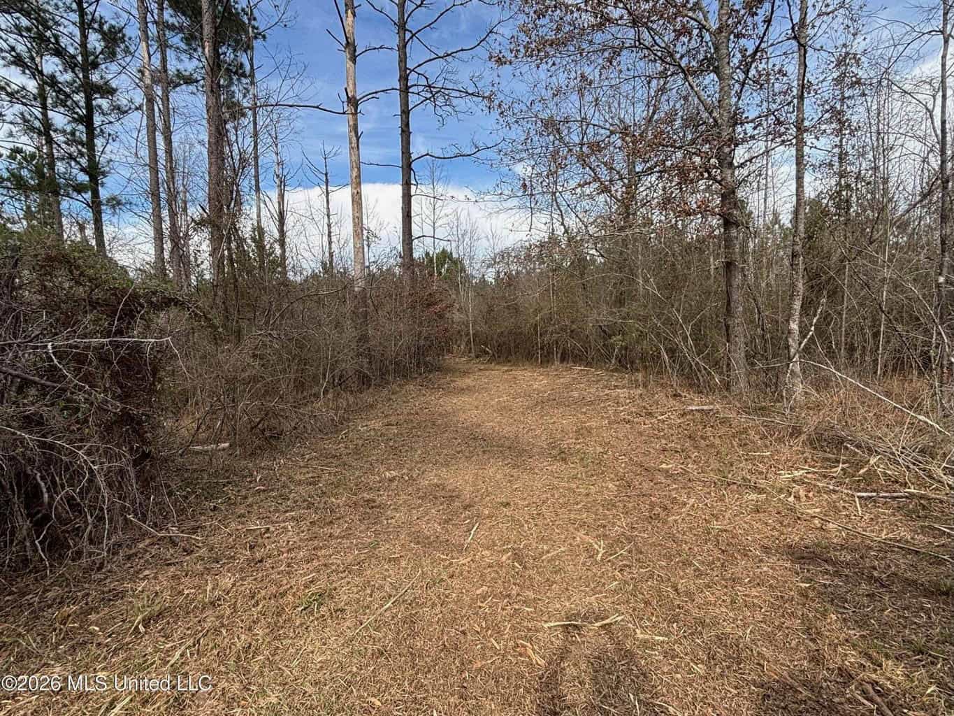 Hazlehurst MS Hunting Land for Sale