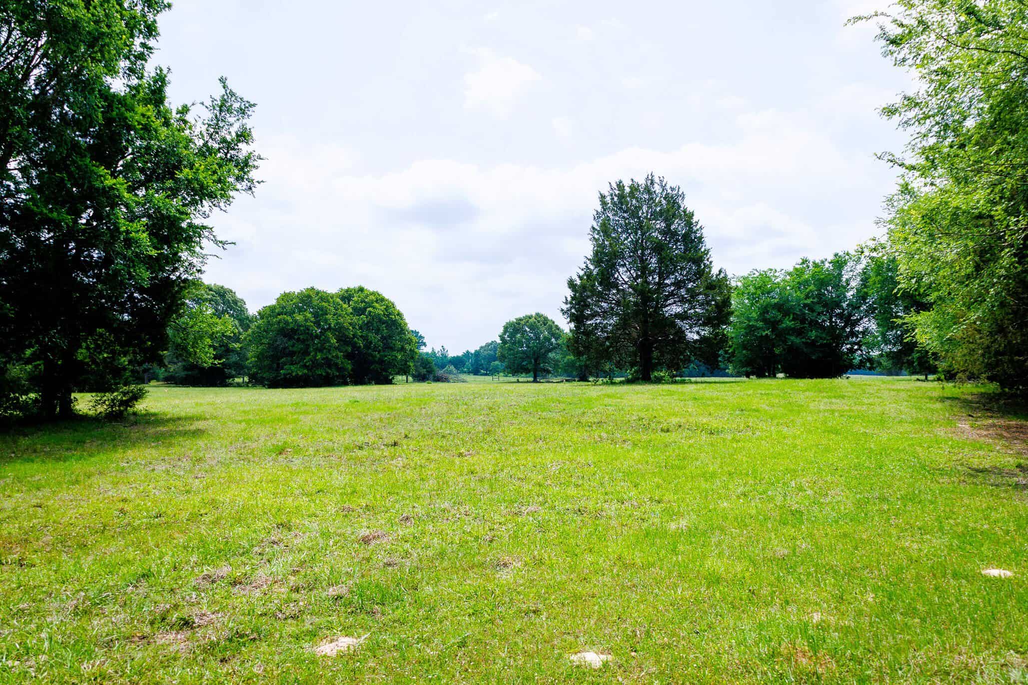 47.79-Acre Hunting Land with Cabin for Sale Ben Wheeler TX