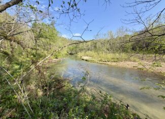 Land for Sale in the Missouri Ozark Mountains