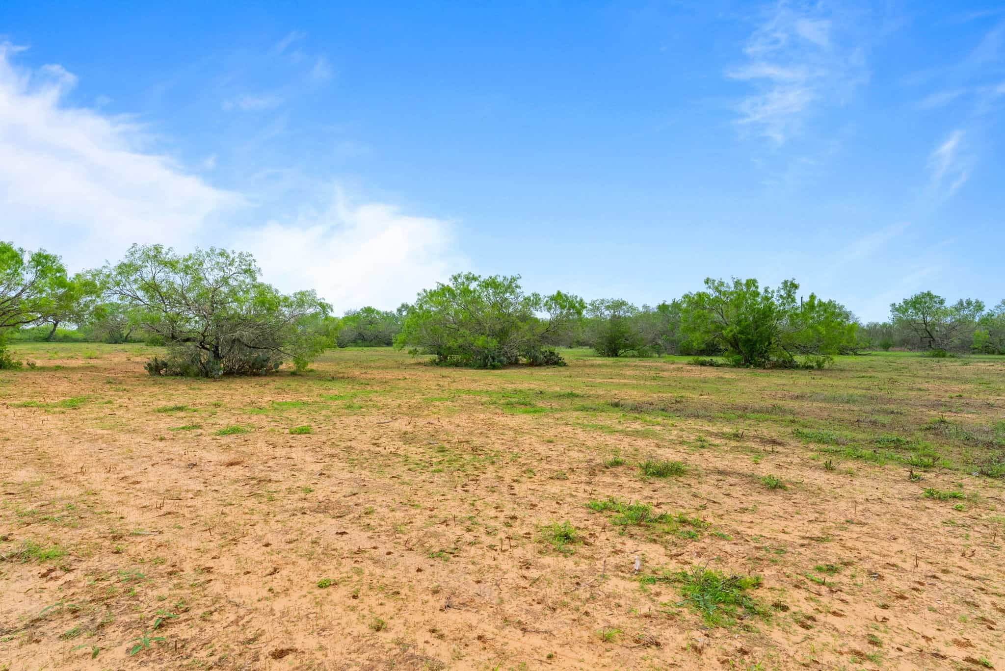 South Texas Dove Hunting Retreat