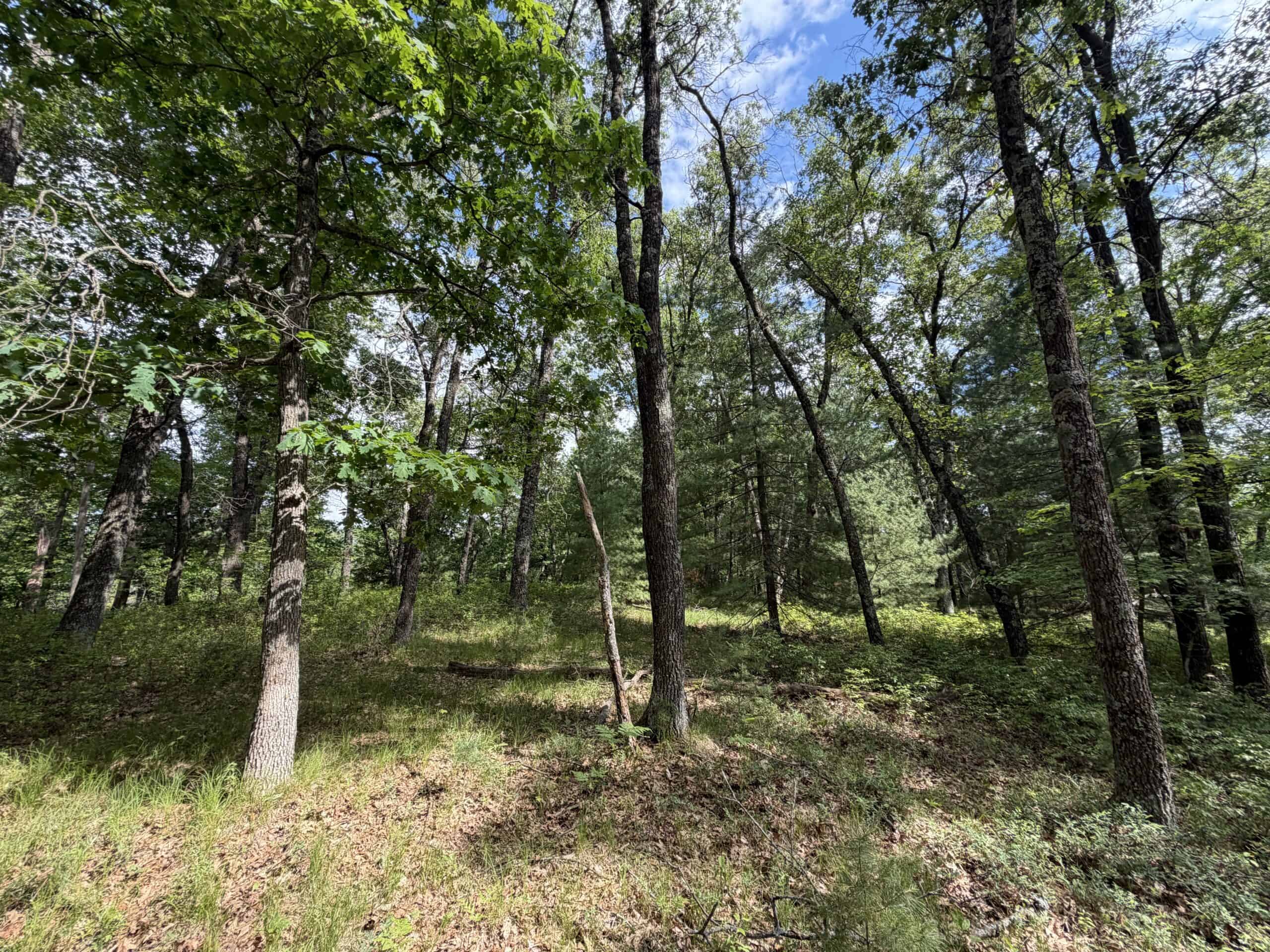 Forty acres in Adams County located in the Town of Strongs Prairie