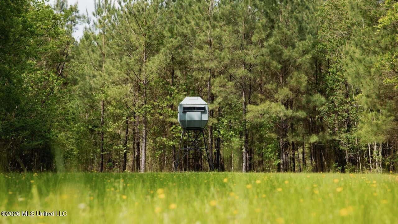 958± Acre High-Fence Ranch in Oakdale, Louisiana