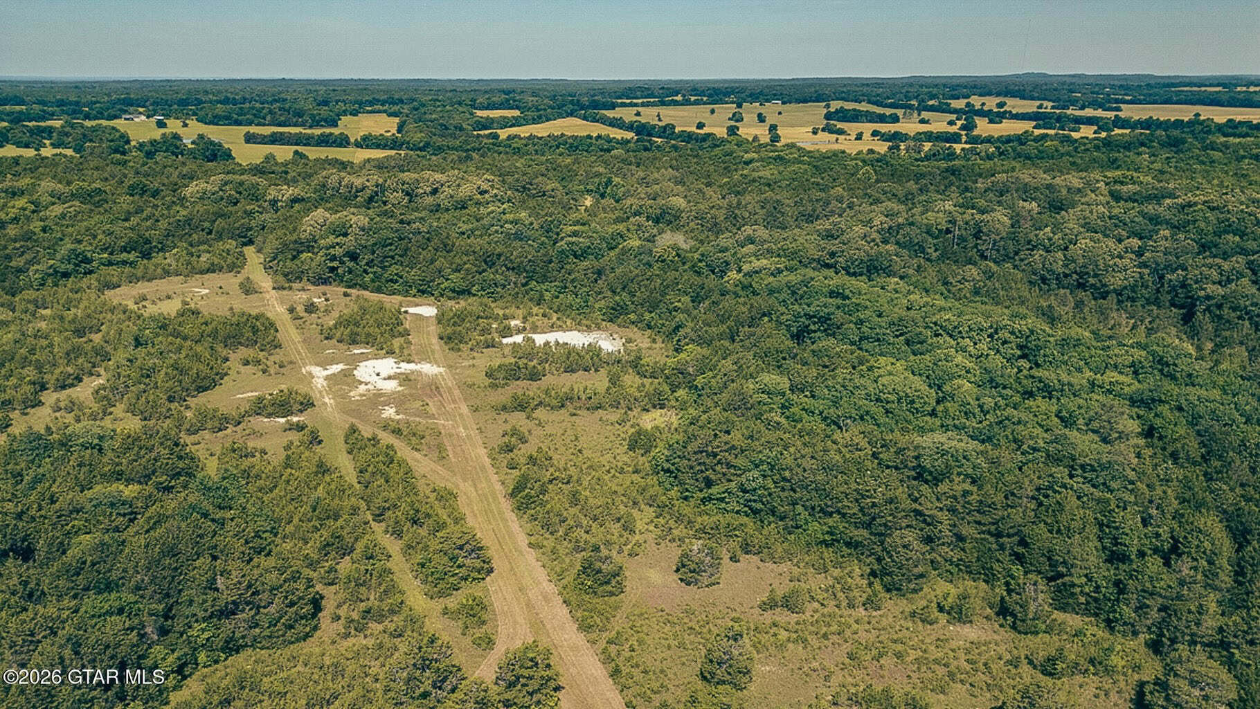 527 Acres Black Belt Prairie Clay County MS