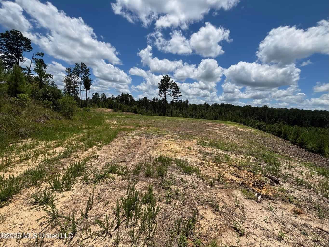 Wilkinson County MS Hunting Land for Sale
