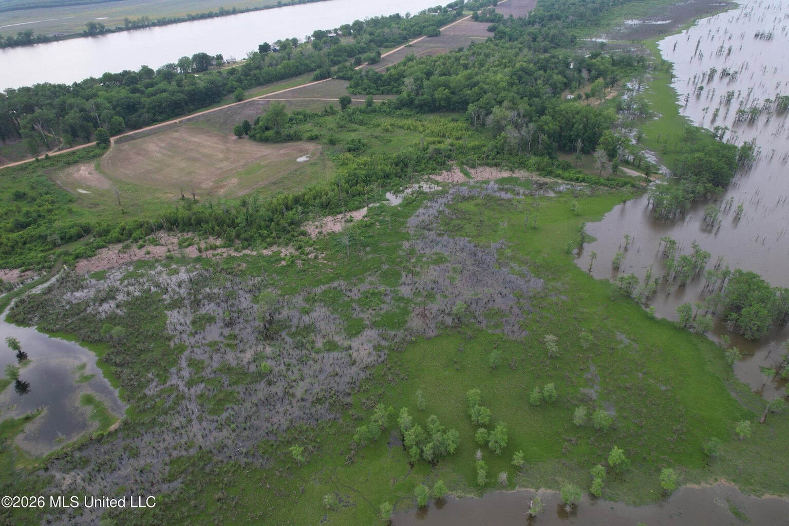 88 Acre Hunting Property – Wilkinson County, MS