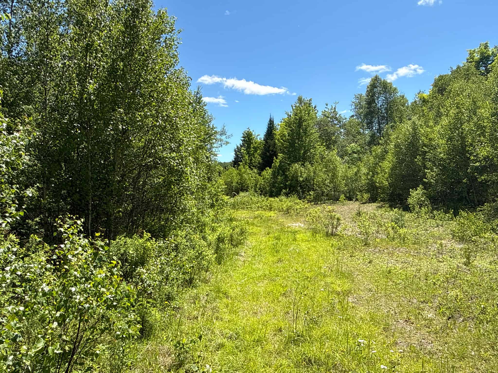 Large Acreage Maine Land for Sale Near West Grand Lake Chain