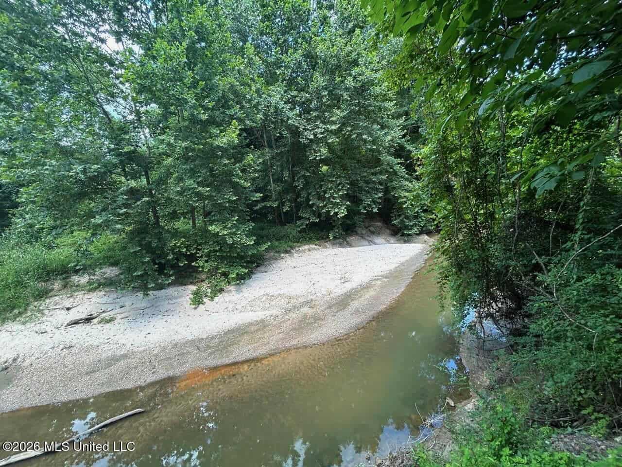 44 Acre Hunting Land in Wilkinson County, MS