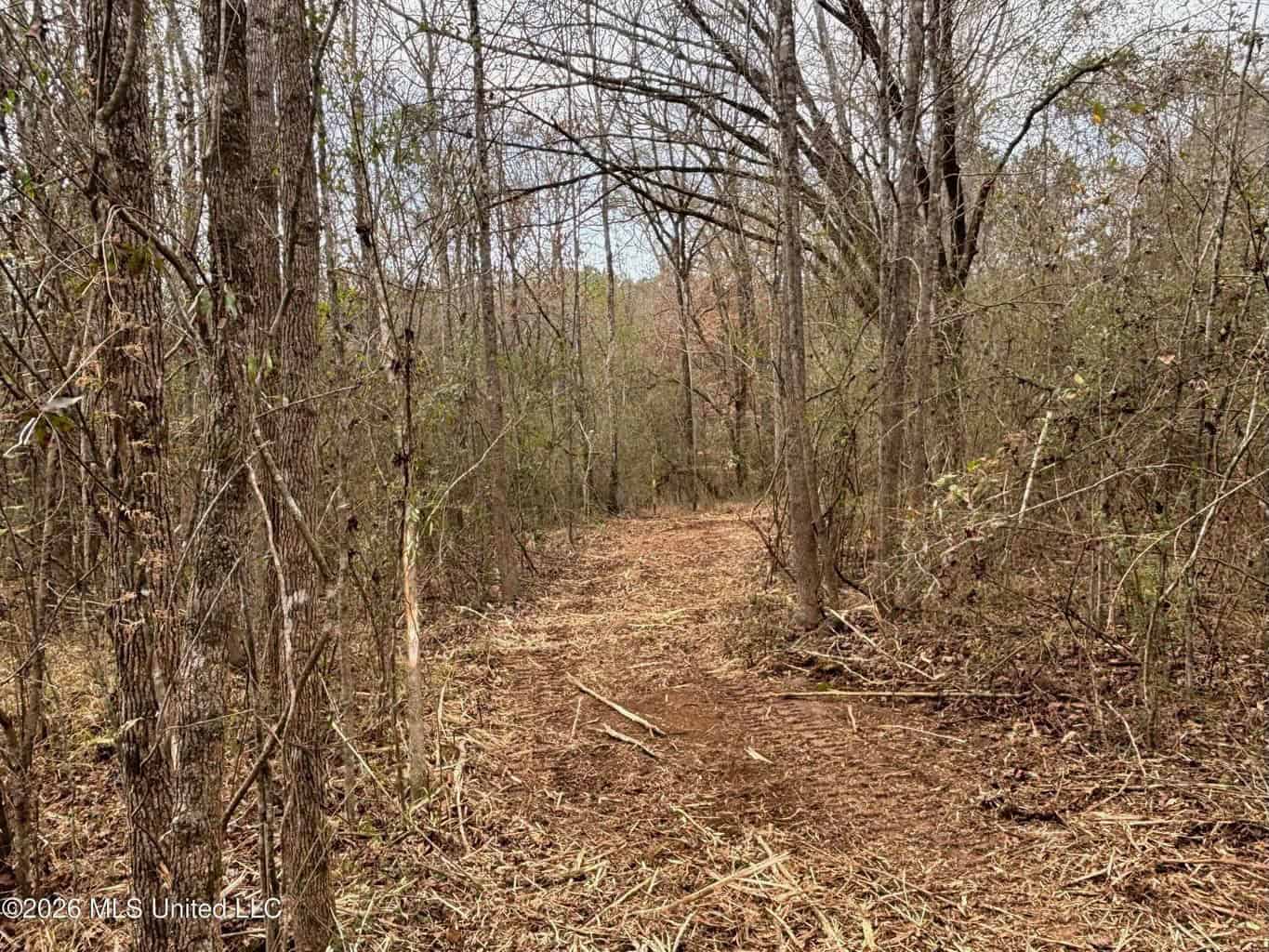 Hazlehurst MS Hunting Land for Sale