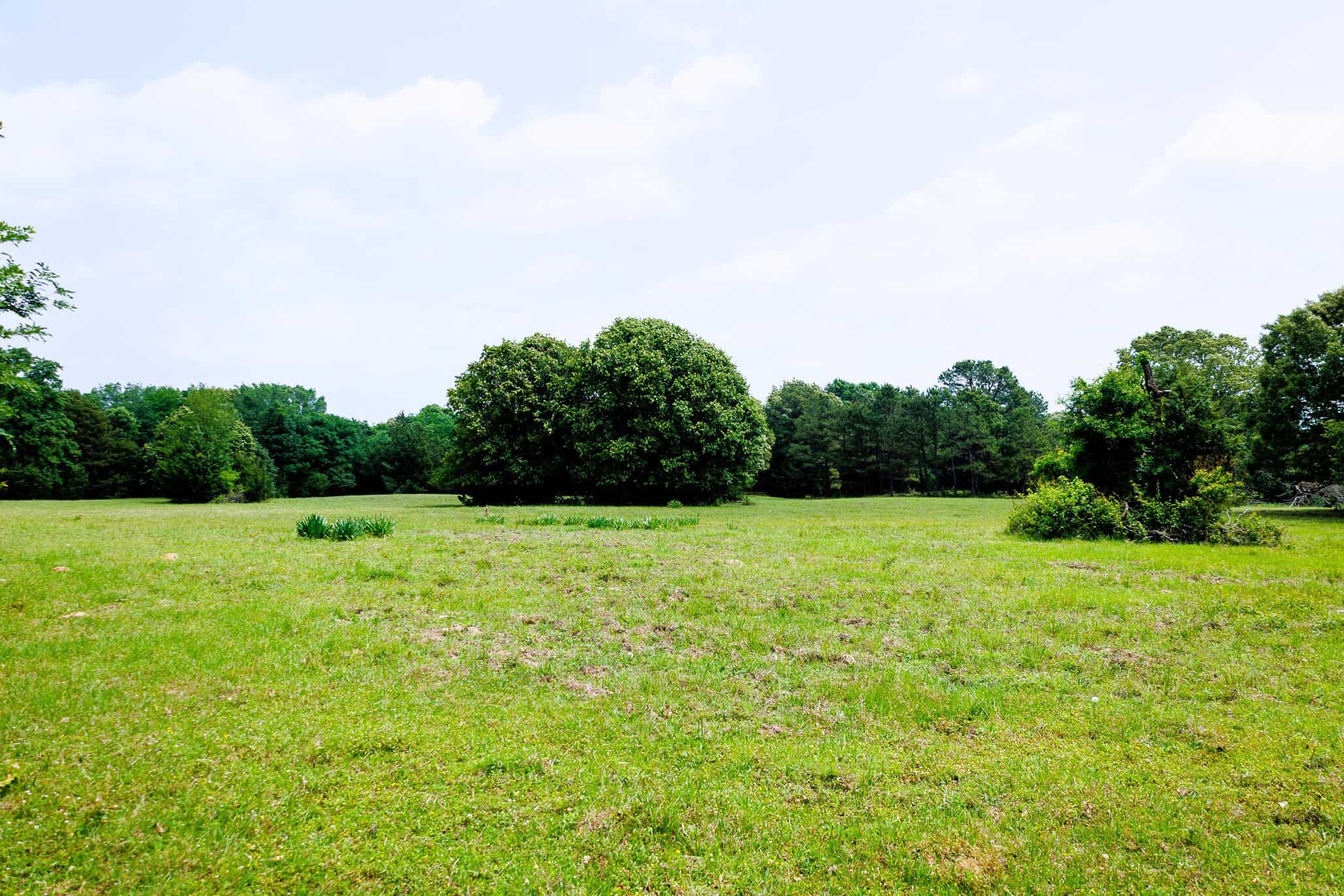 47.79-Acre Hunting Land with Cabin for Sale Ben Wheeler TX