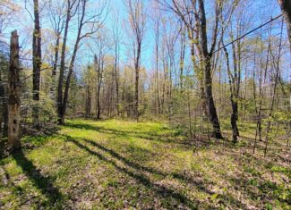 40 Acres Surrounded by 300,000 Acres of Public Land