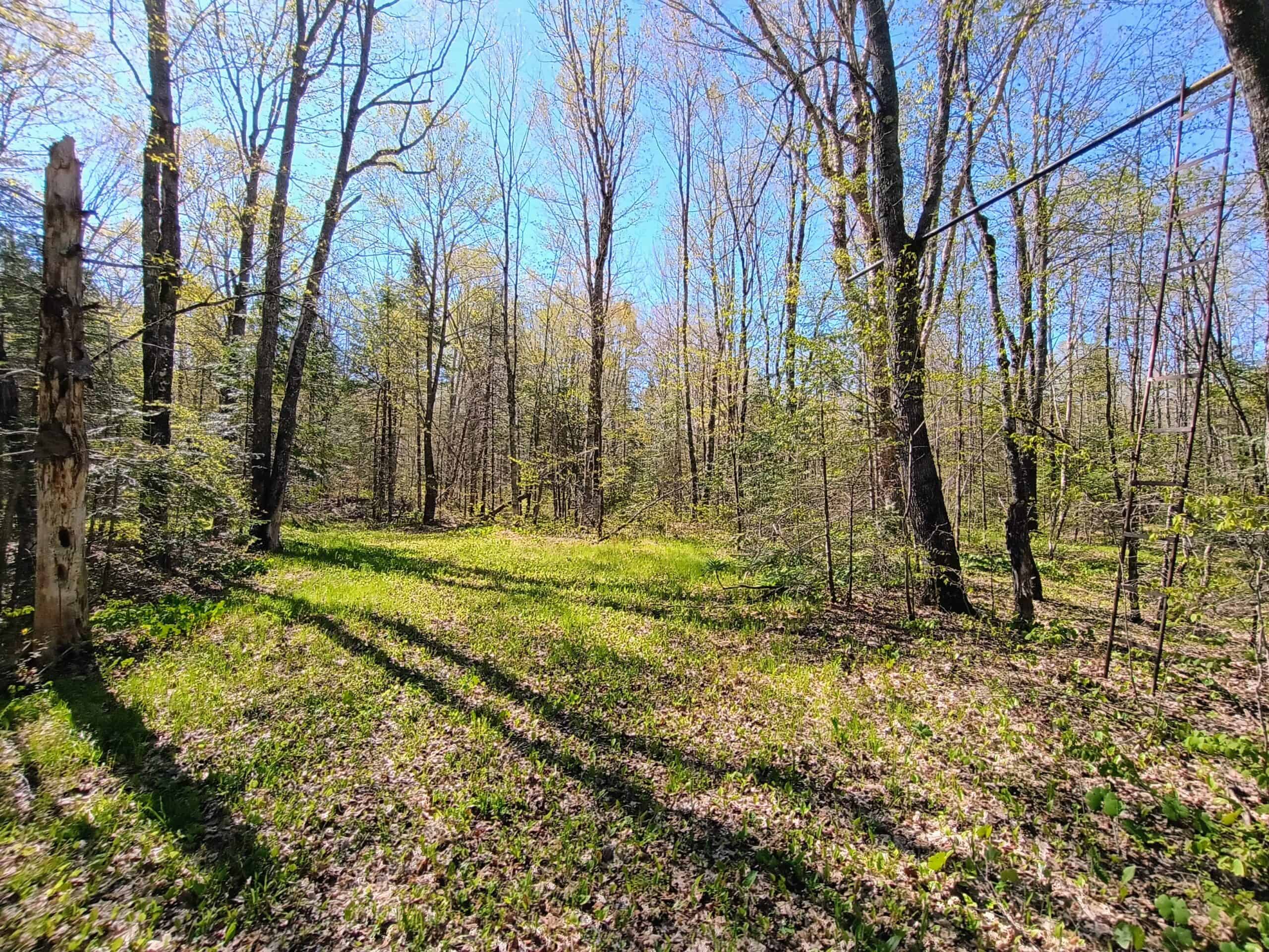 40 Acres Surrounded by 300,000 Acres of Public Land