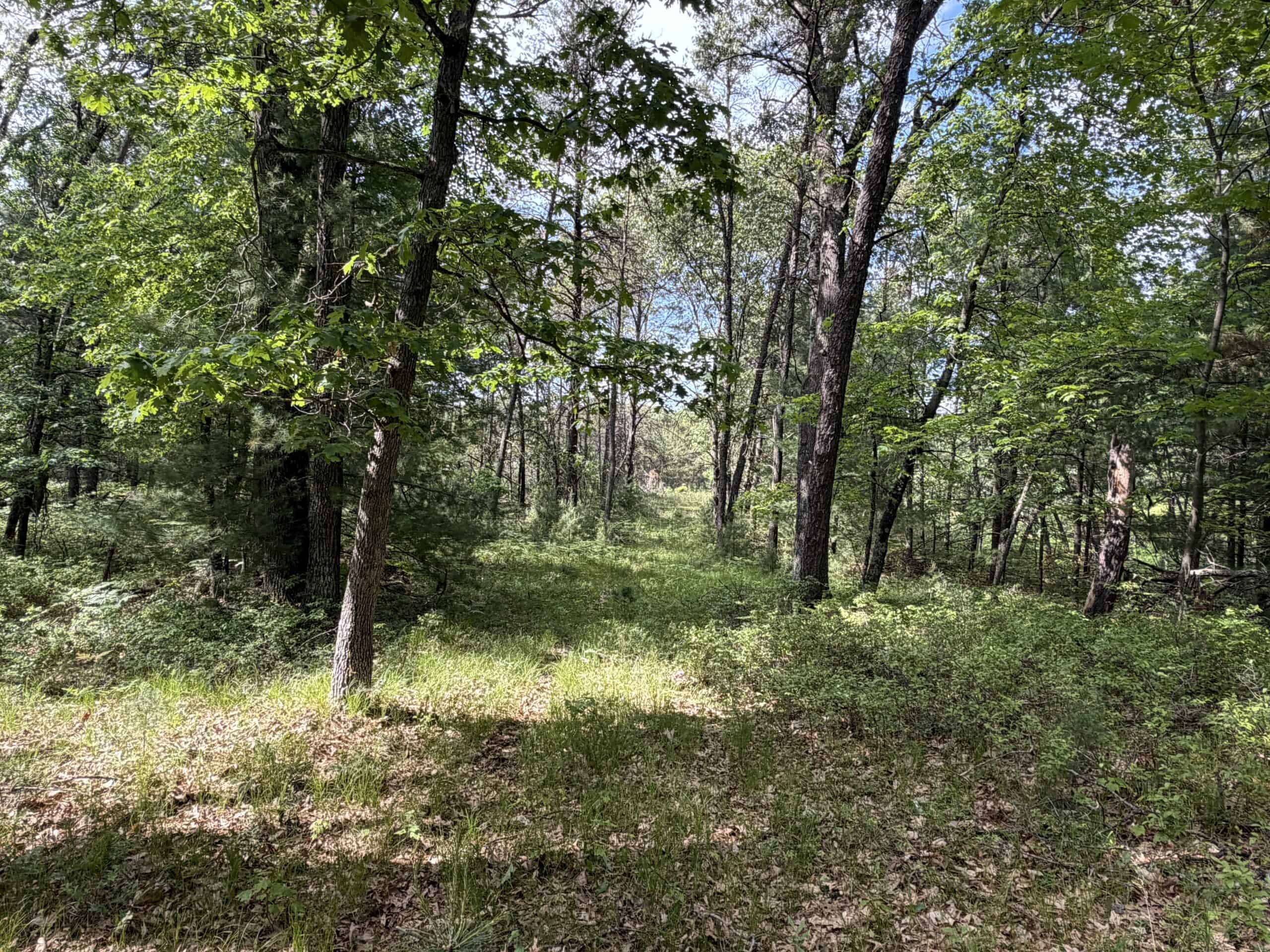 Forty acres in Adams County located in the Town of Strongs Prairie
