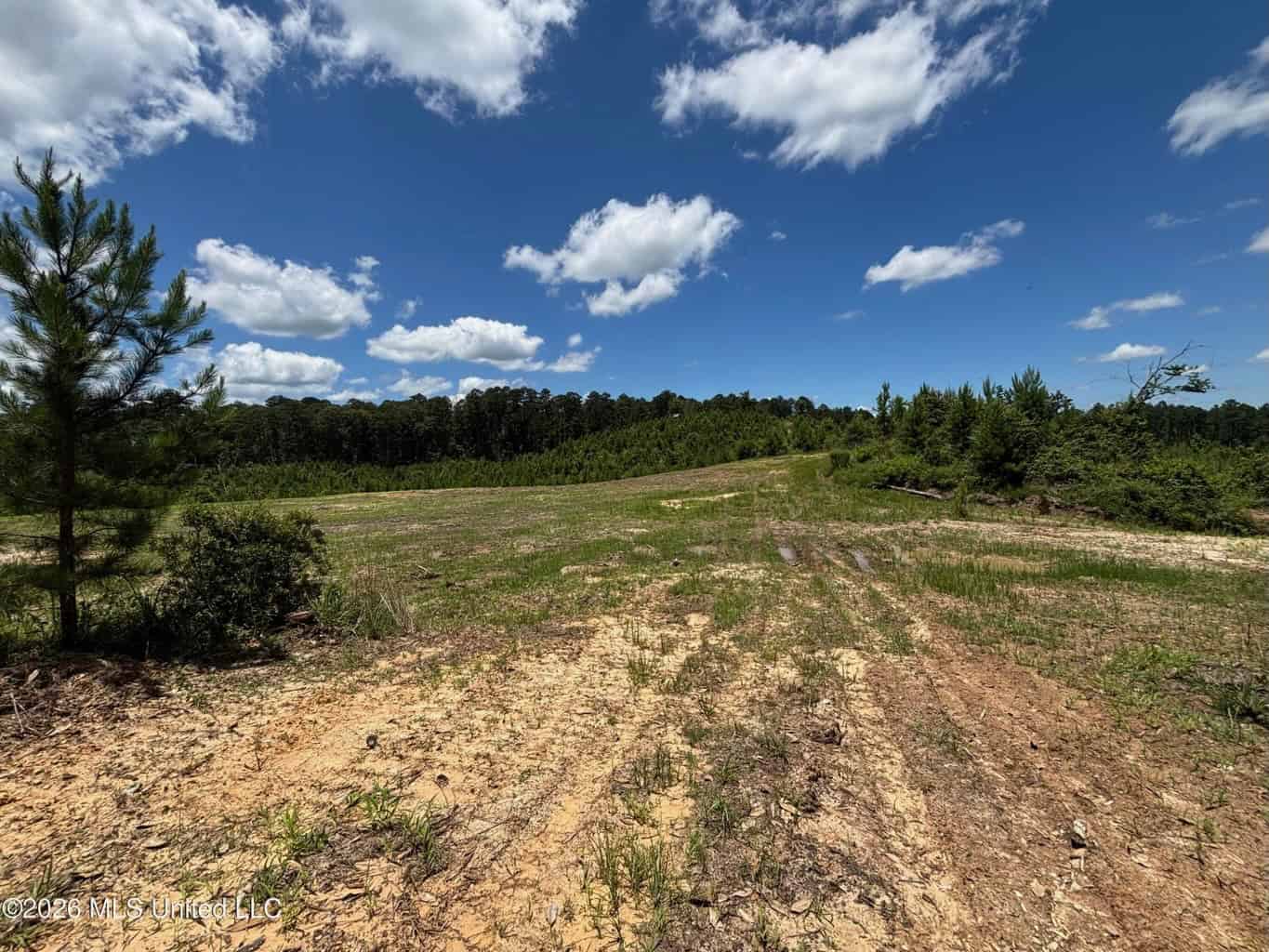 Wilkinson County MS Hunting Land for Sale