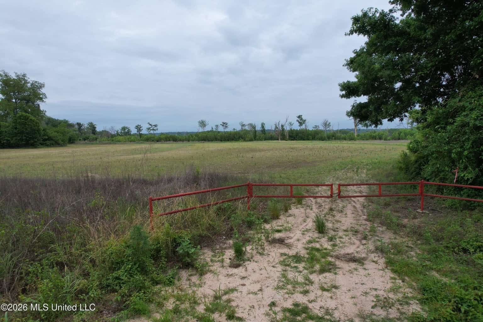 88 Acre Hunting Property – Wilkinson County, MS