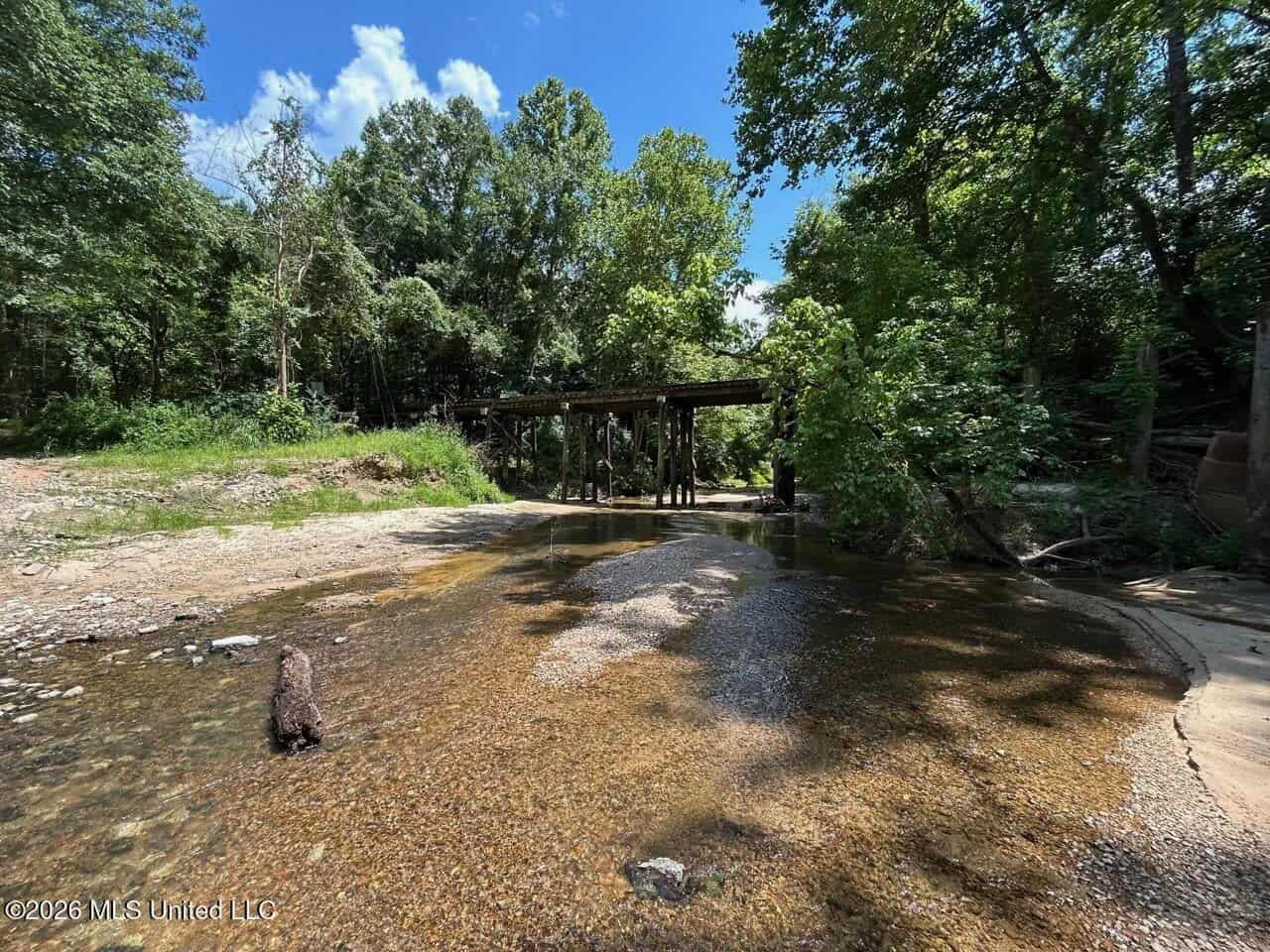 44 Acre Hunting Land in Wilkinson County, MS