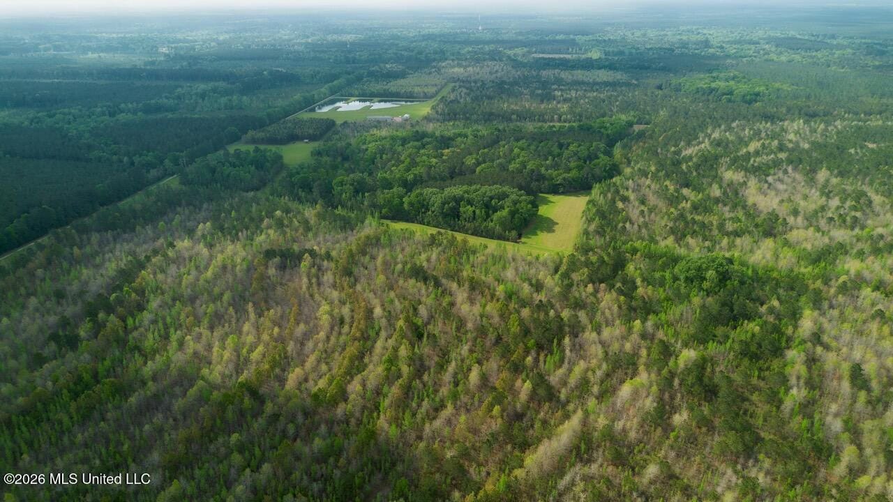 Paradise Whitetails in Oakdale, LA – 1,116± Acres