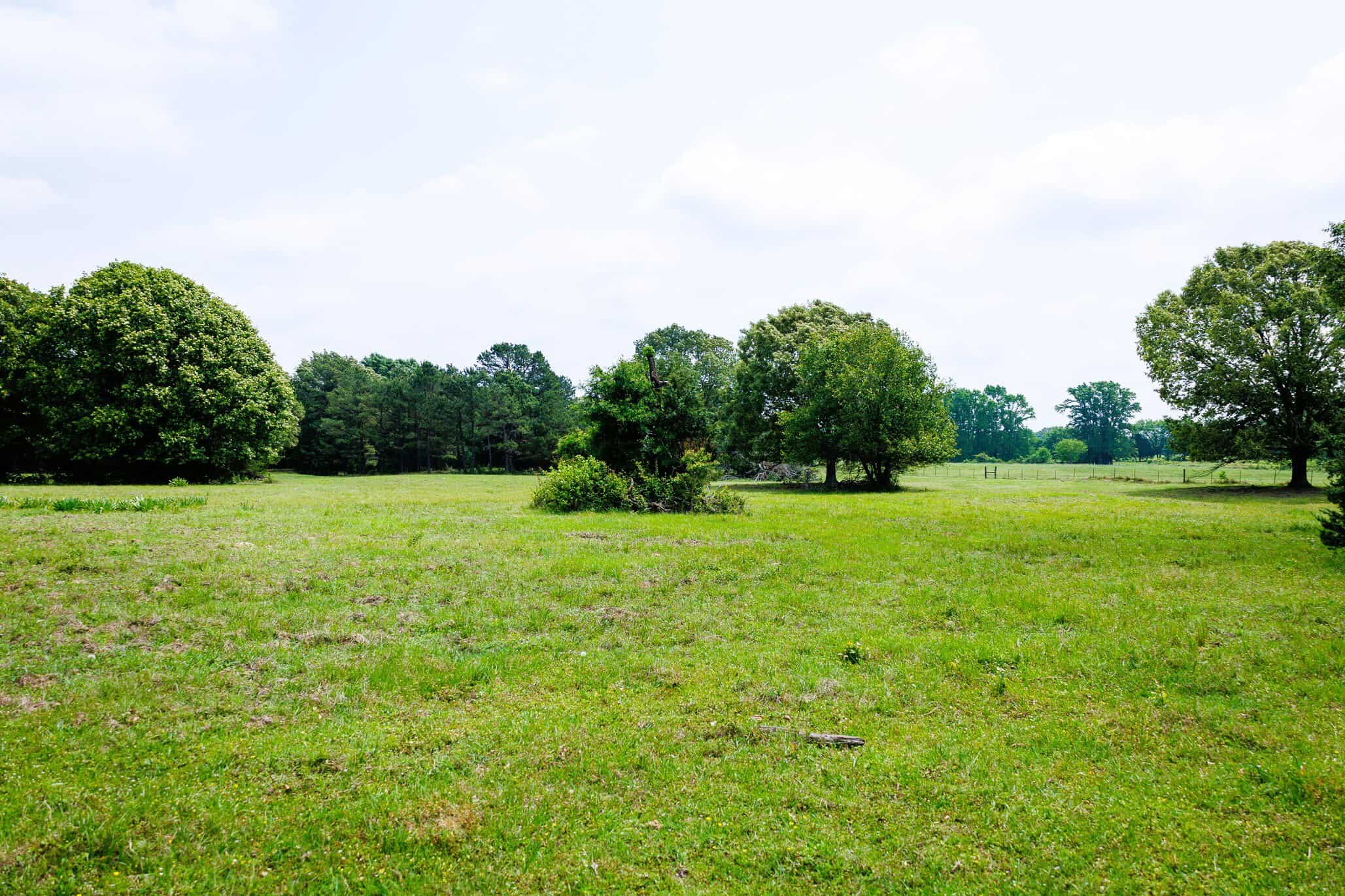 47.79-Acre Hunting Land with Cabin for Sale Ben Wheeler TX