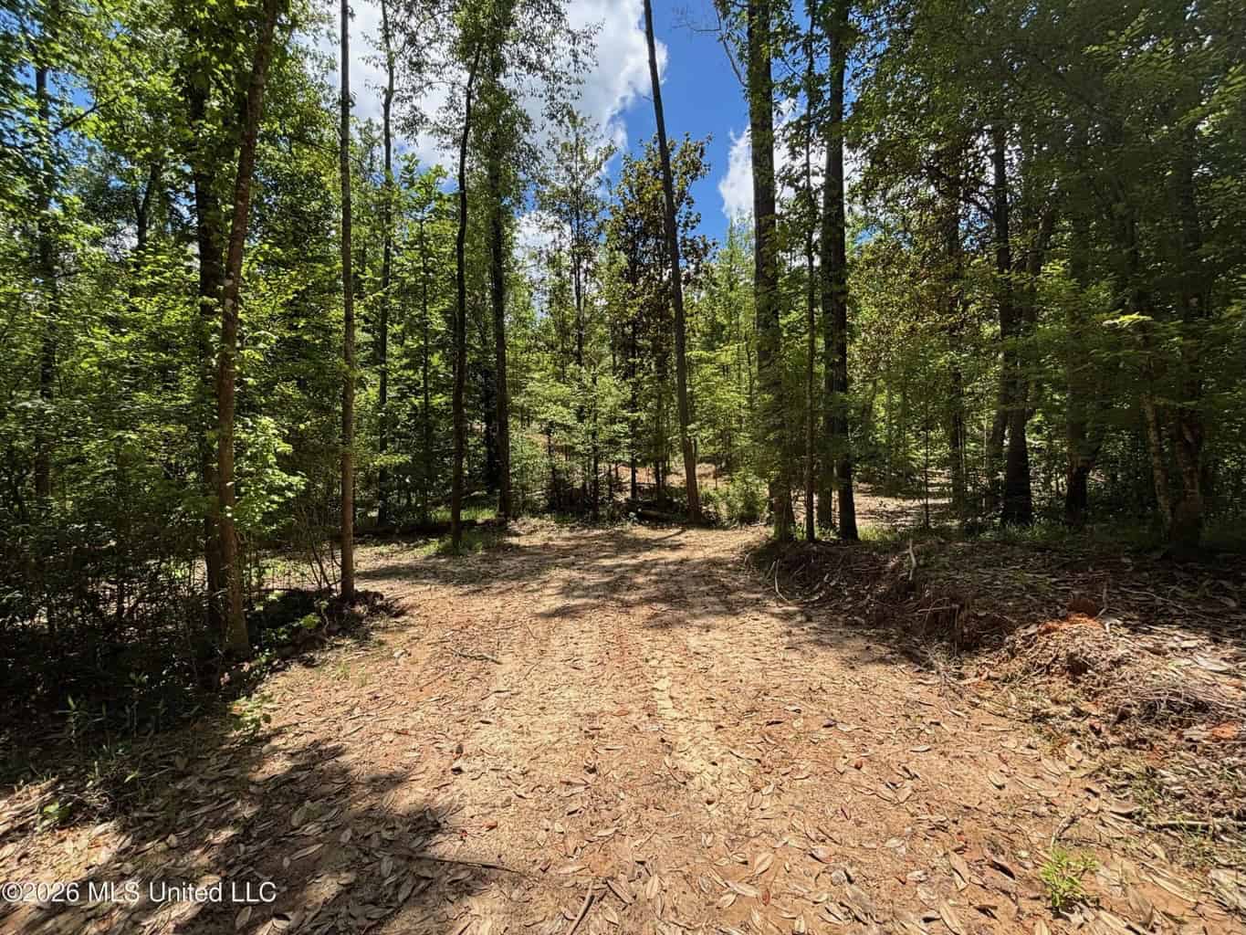 Wilkinson County MS Hunting Land for Sale