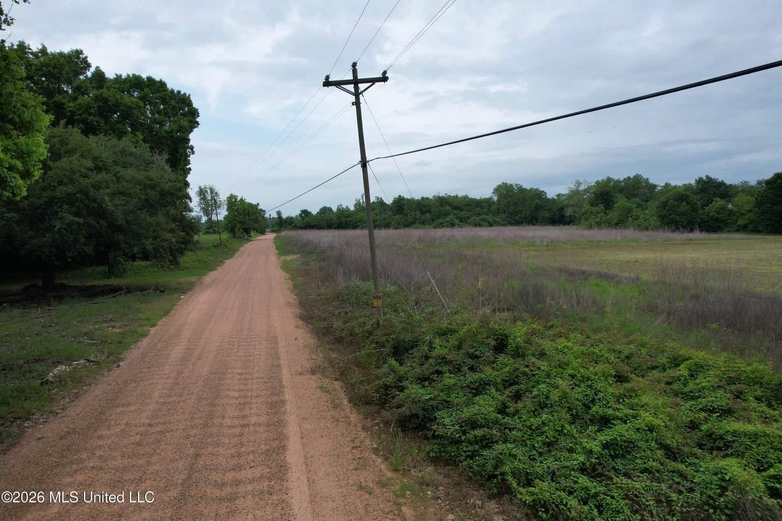 88 Acre Hunting Property – Wilkinson County, MS