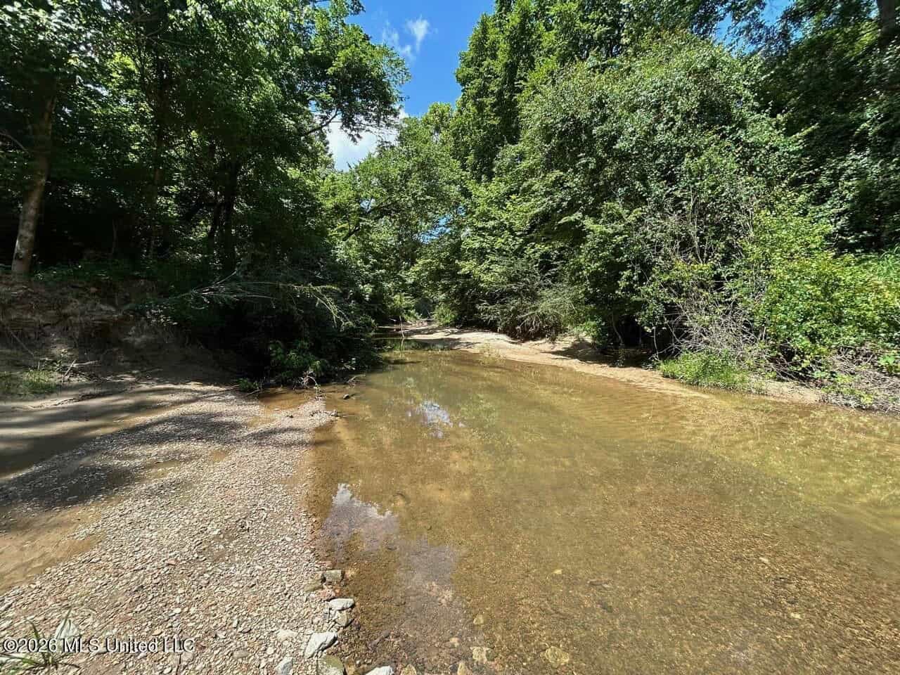 44 Acre Hunting Land in Wilkinson County, MS