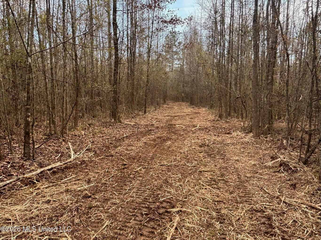 Hazlehurst MS Hunting Land for Sale