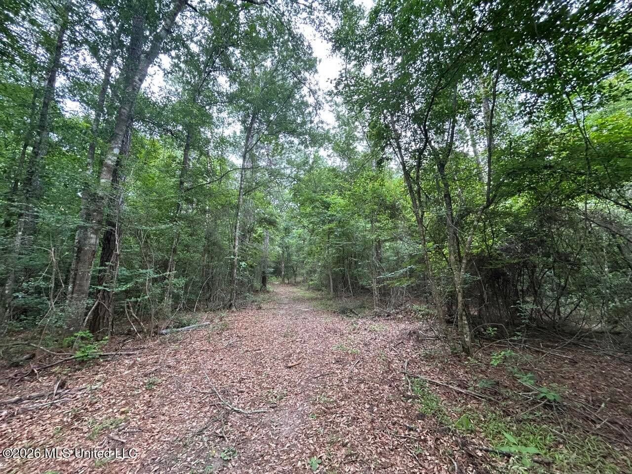 120± Acres for Sale in Osyka, MS on Tickfaw River