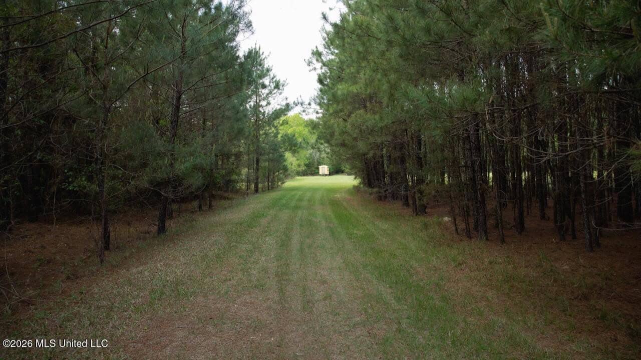 958± Acre High-Fence Ranch in Oakdale, Louisiana