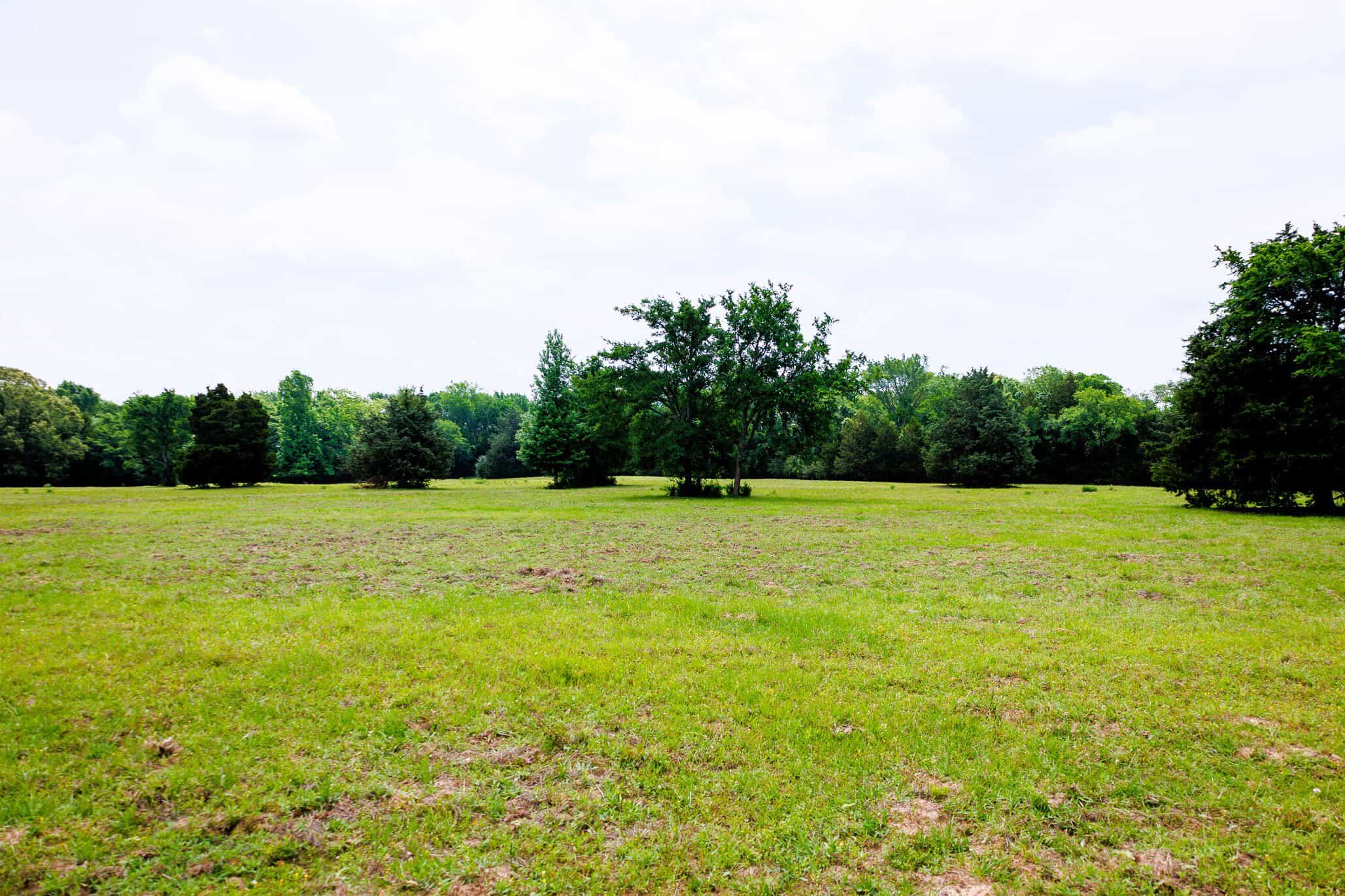 47.79-Acre Hunting Land with Cabin for Sale Ben Wheeler TX