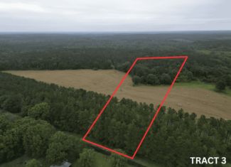 East Texas Land For Sale in McLeod, Texas