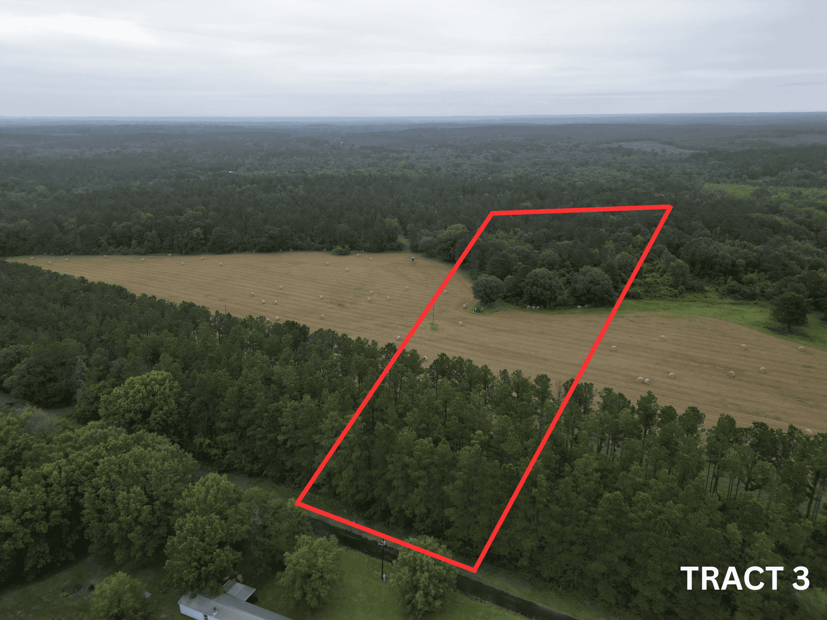 East Texas Land For Sale in McLeod, Texas