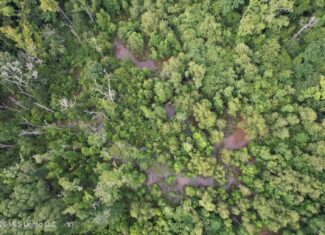 155 Acres Hunting Land for Sale in Centreville, MS