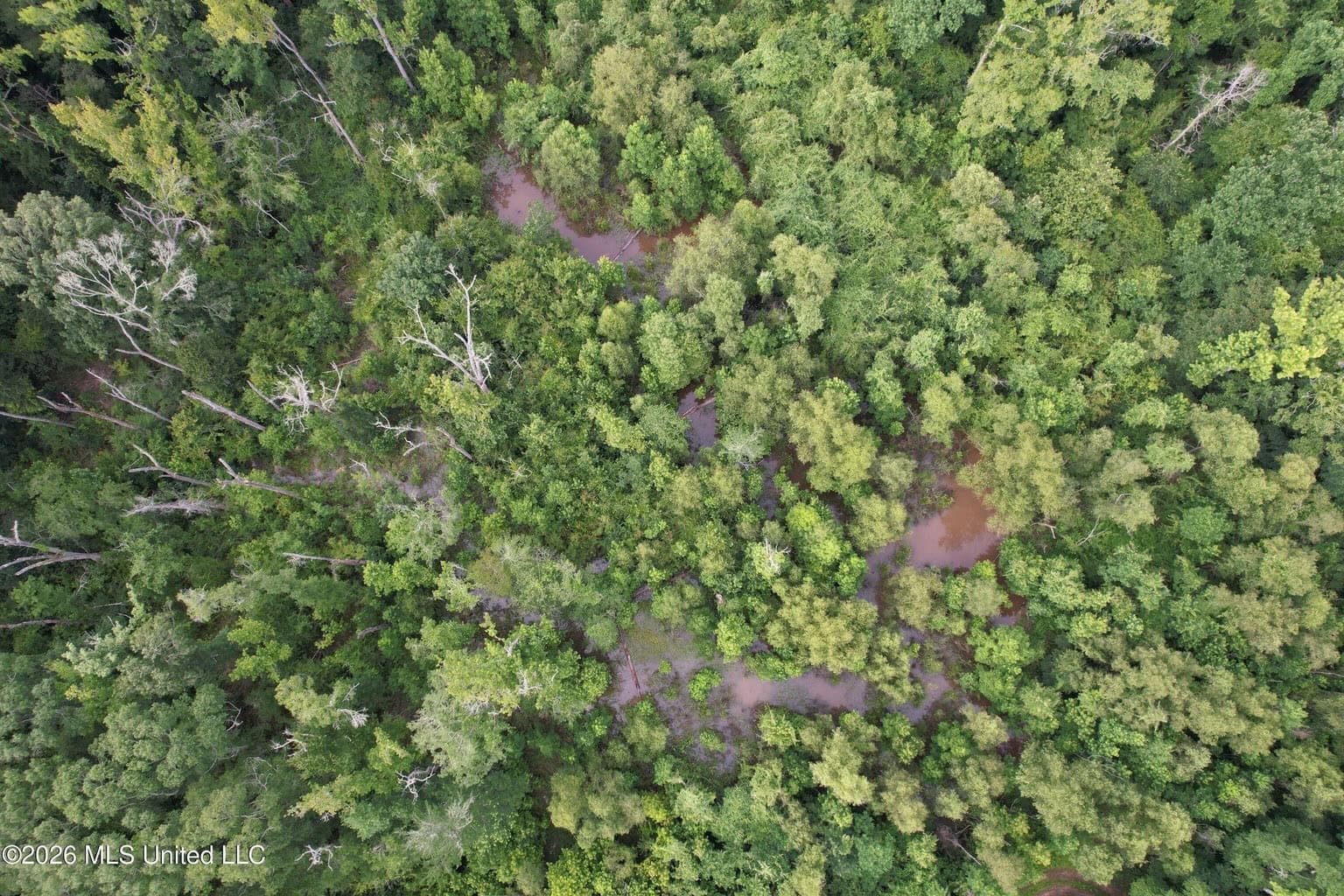 155 Acres Hunting Land for Sale in Centreville, MS