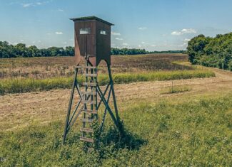 527 Acres Black Belt Prairie Clay County MS